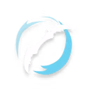 Boomerang Blade
