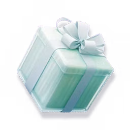 Level 2 RV Welcome Pack