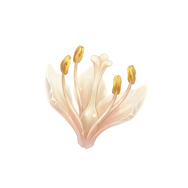 Stamen of Cubbo’s Rose