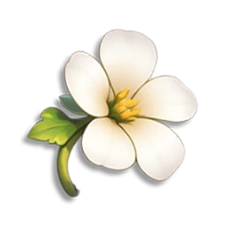 Sunny Daisy without Petals