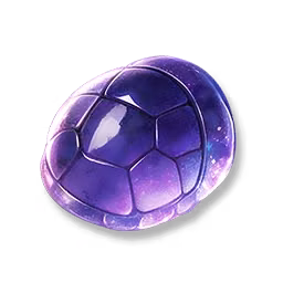 Giant Tortoise Shell