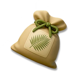 Palm Tree Seed