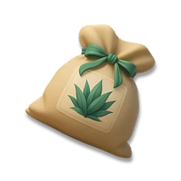 Agave Seed