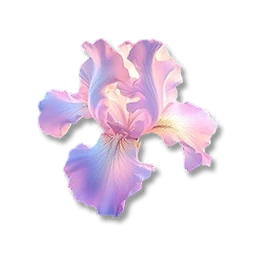 Petals