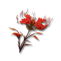 Flame Flower