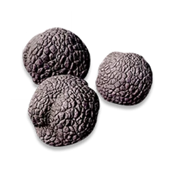 Mutant Truffle