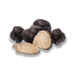 Super Truffle