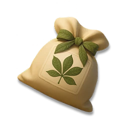 Rubber Tree Seed