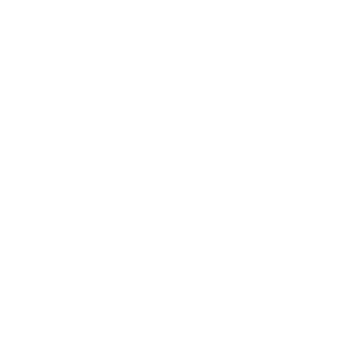 Cactus Flower