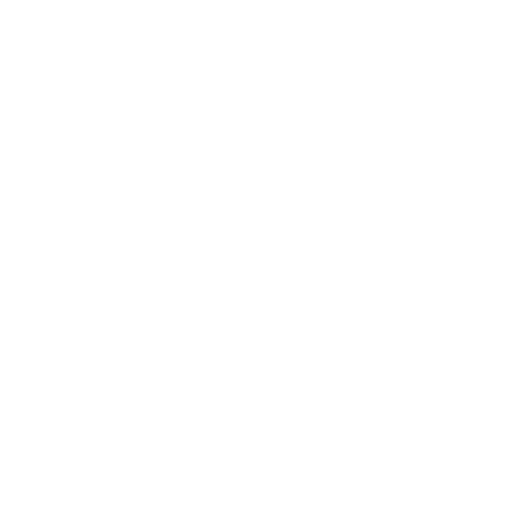 Explorer's Backpack