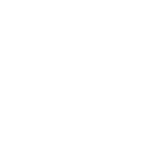 Hammer