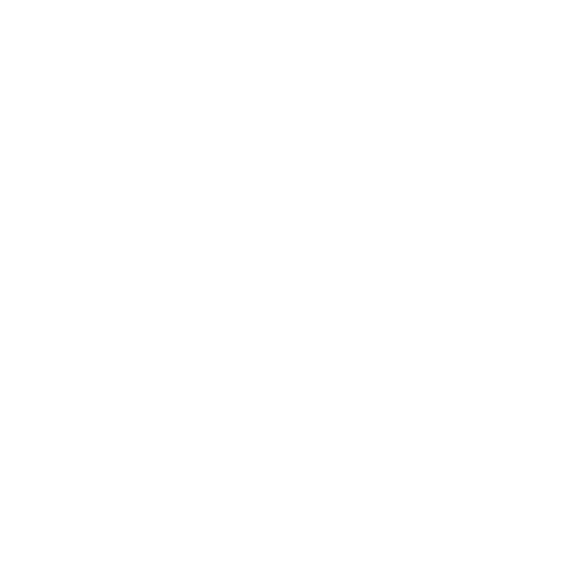 Dog Treat