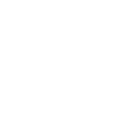 Flashlight I
