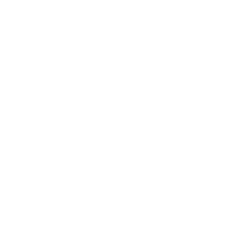 Chrome Ore