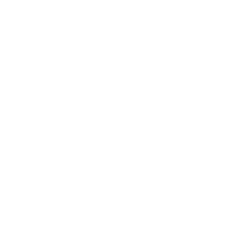 Reinforced Plank