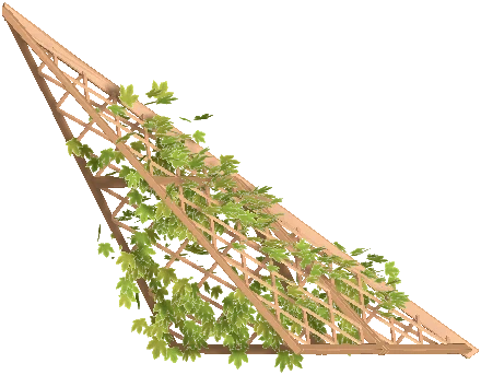 Corner Roof Trellis