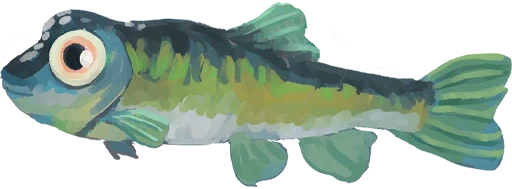 Big Eye Bubble Fish