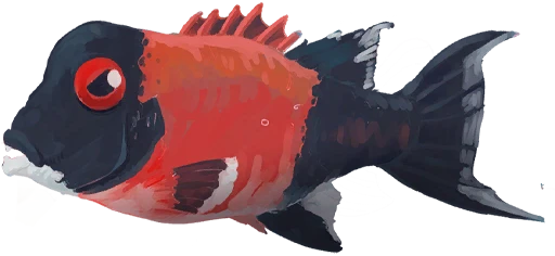 Bigbrow