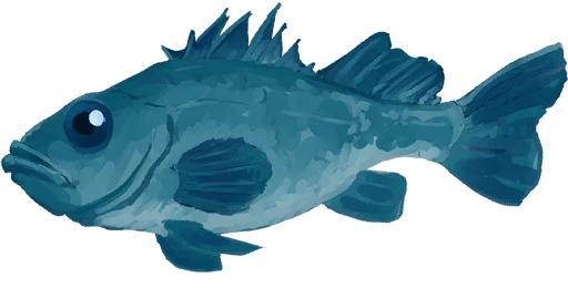 Bluestone Fish