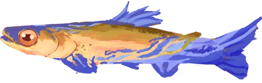 Breezefin