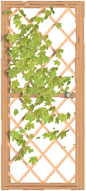 Trellis Door