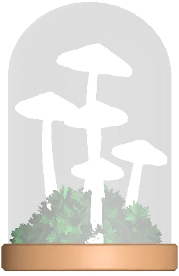 Mushroom Ecosphere