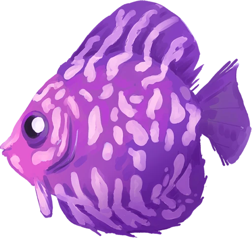 Female Heartscale Fish