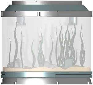 Fish Tank II