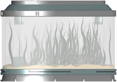 Fish Tank III