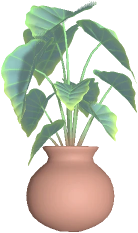 Flower Pot