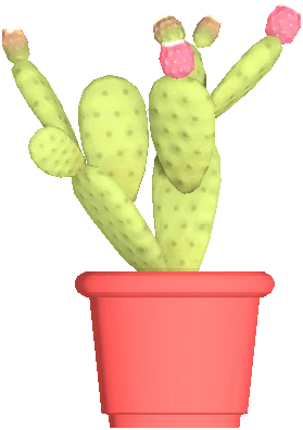Flower Pot