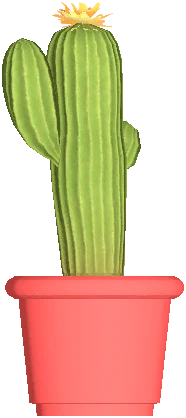 Flower Pot