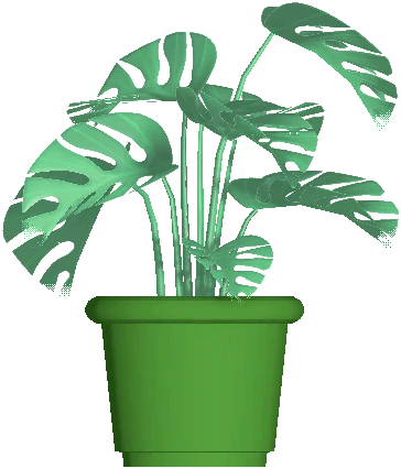 Flower Pot