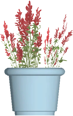 Flower Pot