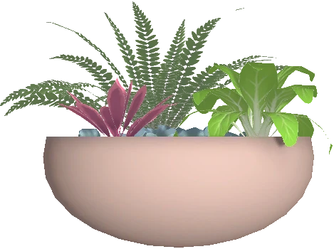 Flower Pot