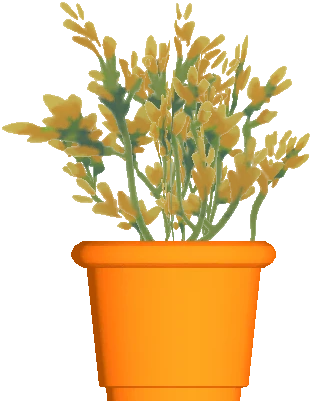 Flower Pot