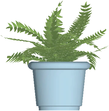 Flower Pot