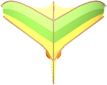 Bird Kite