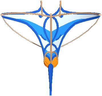 Ray Kite