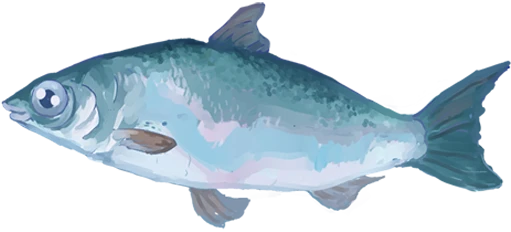 Ivoryscale