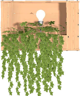 Light Crate 2