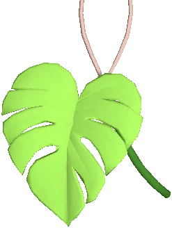 Monstera Charm