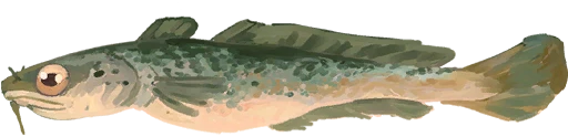 Mudburb