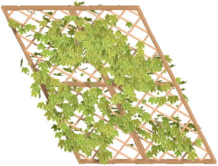 Trellis Roof