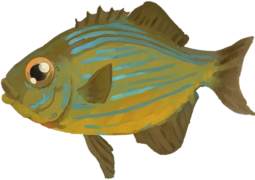 Striped Wanderer