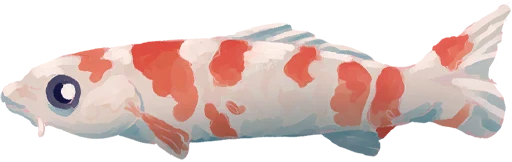 Sunflake Koi