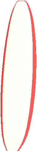 Surf Board