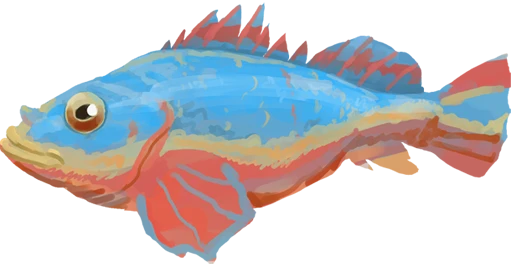 Pebble Prowler