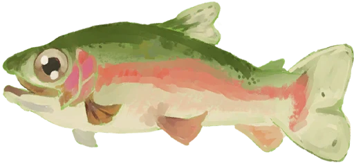 Rainbloom Trout