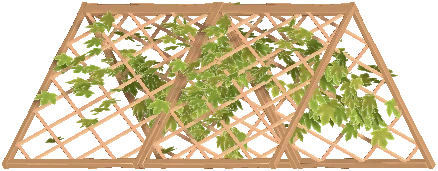 Ridge Roof Trellis